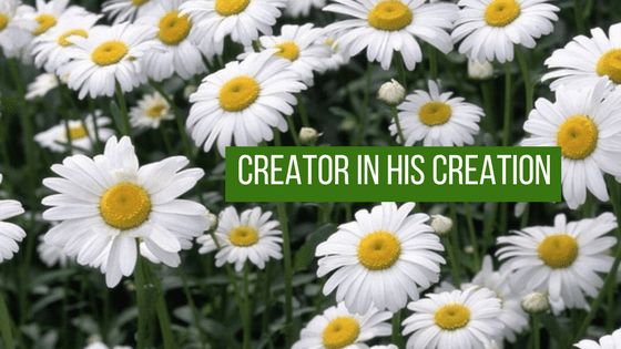 Creator in His&nbsp;Creation