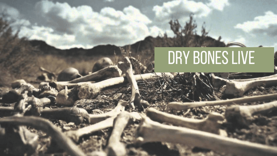 Dry Bones Live